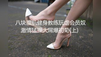 我只想当美团叔叔们的小精厕