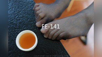 FE-141