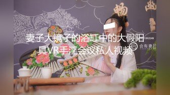 妻子大镜子的浴缸中的大假阳具VR手淫会议私人视频