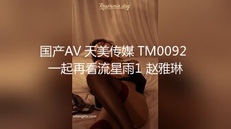 国产AV 天美传媒 TM0092 一起再看流星雨1 赵雅琳