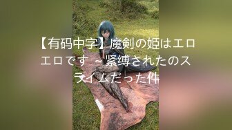 【有码中字】魔剣の姫はエロエロです ～紧缚されたのスライムだった件