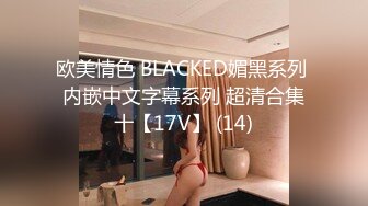 欧美情色 BLACKED媚黑系列 内嵌中文字幕系列 超清合集十【17V】 (14)