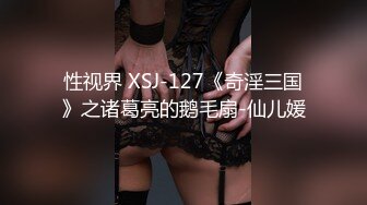 性视界 XSJ-127《奇淫三国》之诸葛亮的鹅毛扇-仙儿媛