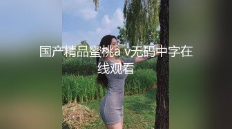 国产精品蜜桃a v无码中字在线观看