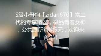 S级小母狗【zidan670】富二代的专享精盆，极品青春女神，公共厕所每次5元，欢迎来肏 (1)