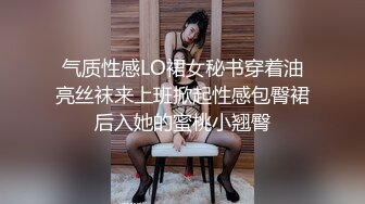 良家换妻泄密合集，极品轻熟女