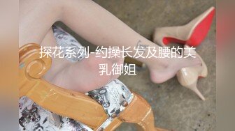 探花系列-约操长发及腰的美乳御姐