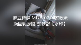 麻豆傳媒 MDX-0246家教爆操巨乳厨娘-楚梦舒【水印】