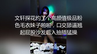 文轩探花约了个高颜值极品粉色毛衣妹子啪啪，口交舔逼翘起屁股沙发后入抽插猛操