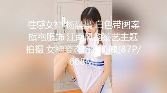 性感女神 杨晨晨 白色带图案旗袍服饰 江南风韵茶艺主题拍摄 女神姿态摄人心魄[87P/668M]