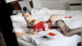 欧美模特满背纹身梅花，后入操逼无套打桩，卖力深喉口打飞机，第一视角刺激