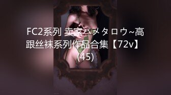 FC2系列 卖家ハメタロウ~高跟丝袜系列作品合集【72v】 (45)