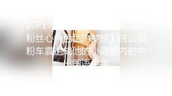 STP17832 【女神感谢祭完成粉丝心中色色的梦想】搭讪狼粉车震达成他的小愿望内射中出国语中字