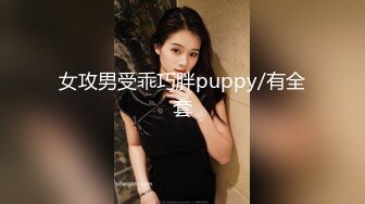 女攻男受乖巧胖puppy/有全套